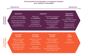 graphique : de la prévention à adaptation, assurance dommages et assurance de personnes